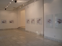 diamond07a-by-Aleksandra-Vasovic