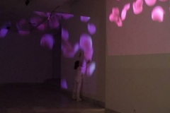 aleksandra-vasovic-rose-petals-art-installation-03