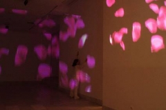 aleksandra-vasovic-rose-petals-art-installation-04