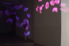 aleksandra-vasovic-rose-petals-art-installation-05