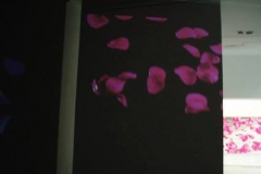 aleksandra-vasovic-rose-petals-art-installation-06