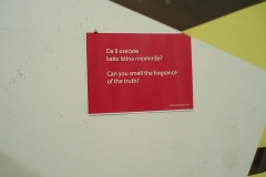 Fragrance-Aleksandra-Vasovic-aleksandravasoviccom